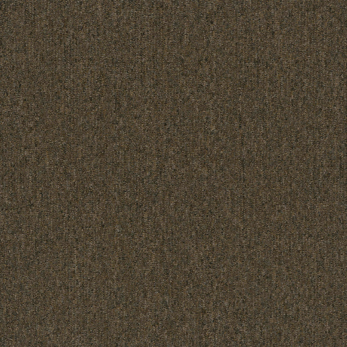 Uplink 20 Broadloom APEX SDP Polyester Brown 3130 Carpet Textured 1