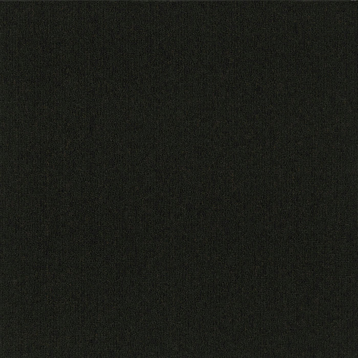 Uplink 26 Broadloom APEX SDP Polyester Licorice 3128 Carpet Textured 1