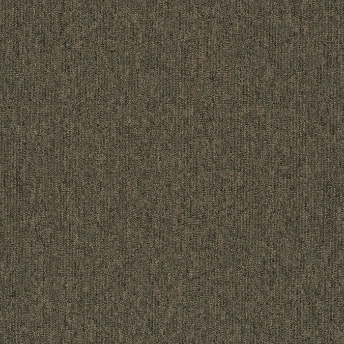Uplink 26 Broadloom APEX SDP Polyester Ash 3129 Carpet Textured 1
