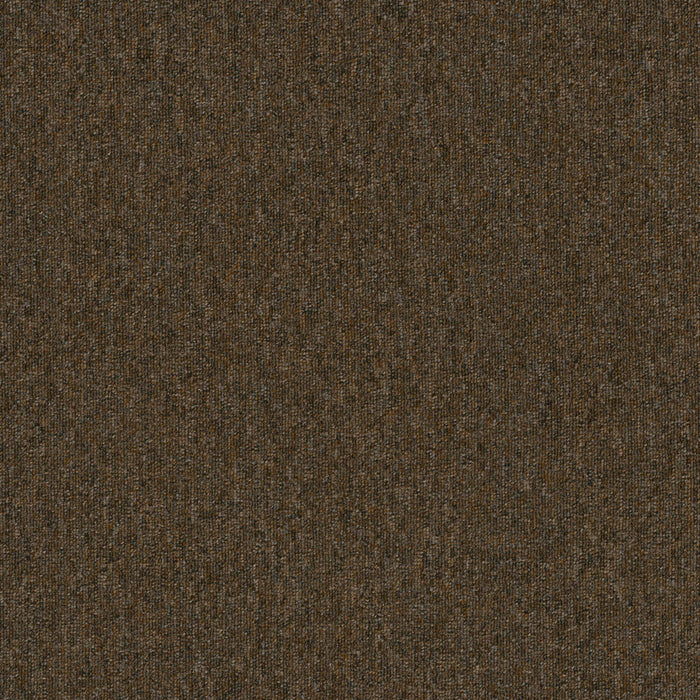 Uplink 26 Broadloom APEX SDP Polyester Pecan 3131 Carpet Textured 1