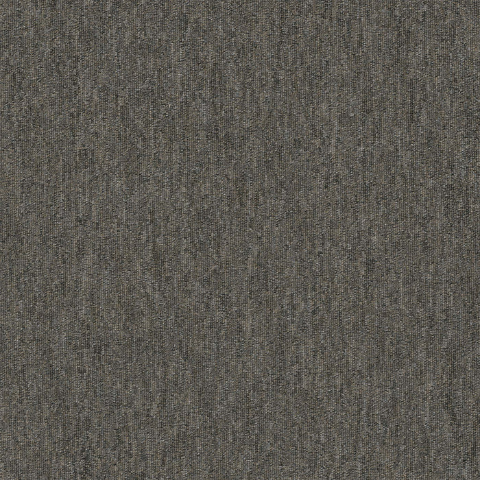 Uplink 26 Broadloom APEX SDP Polyester London Fog 860 Carpet Textured 1