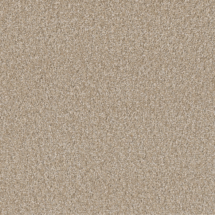 Broadcast Plus Polyester Cameo 174 Carpet Textured 1