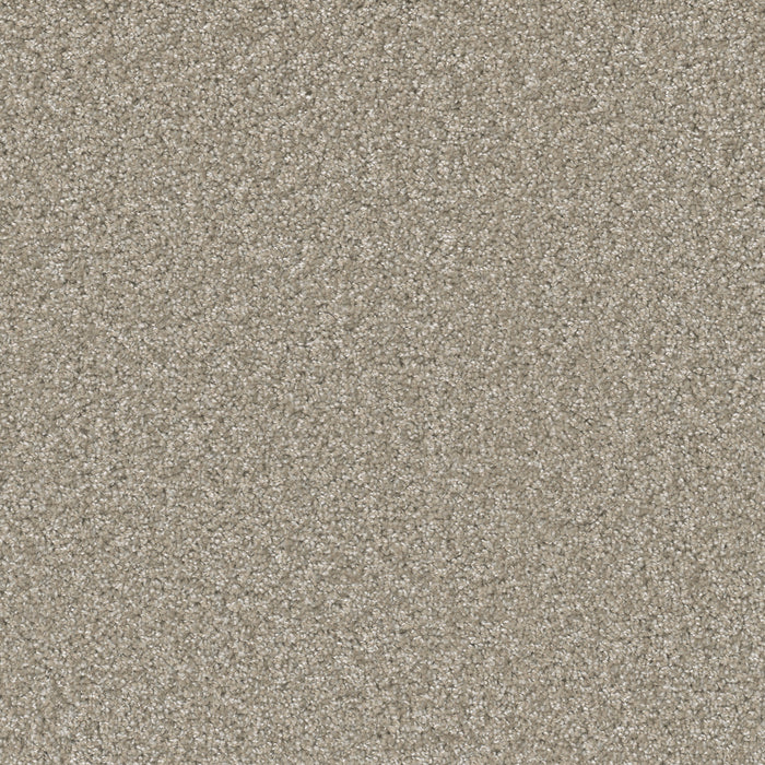 Broadcast Plus Polyester Clam Shell 182 Carpet Textured 1