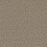 Broadcast Plus Polyester Siesta 2068 Carpet Textured 1