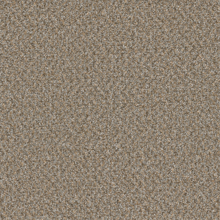 Broadcast Plus Polyester Siesta 2068 Carpet Textured 1