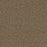 Broadcast Plus Polyester Mocha Beige 2351 Carpet Textured 1