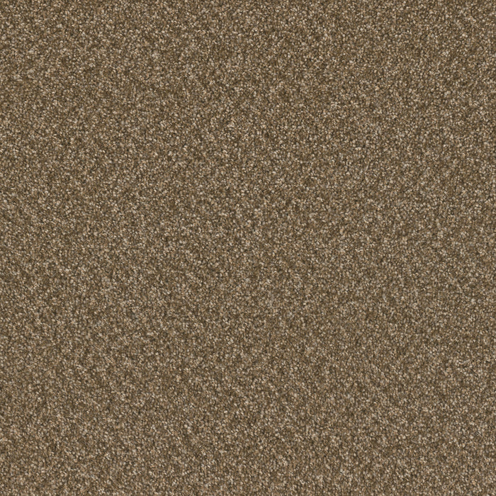Broadcast Plus Polyester Mocha Beige 2351 Carpet Textured 1