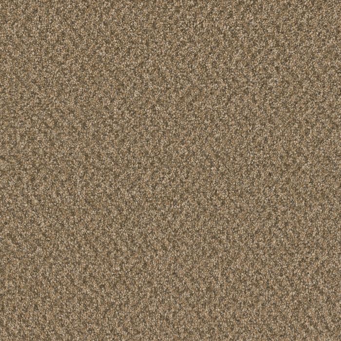 Broadcast Plus Polyester Aged Leather 2418 Carpet Textured 1