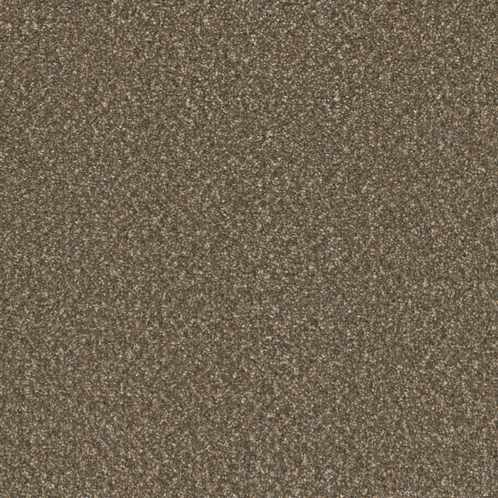 Broadcast Plus Polyester Rustic Glam 2515 Carpet Textured 1