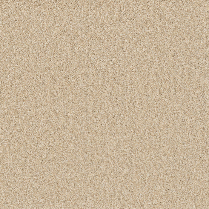 Broadcast Plus Polyester Classic Ivory 4193 Carpet Textured 1