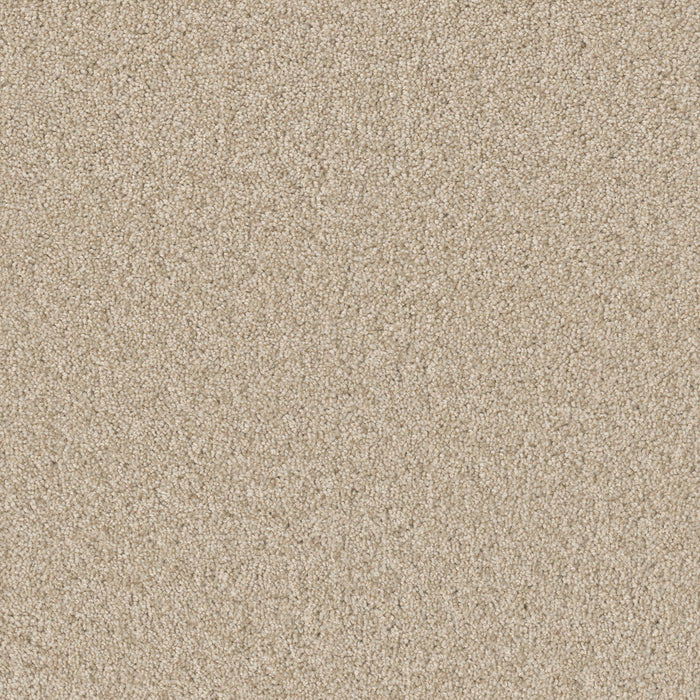 Broadcast Plus Polyester Light Bisque 4484 Carpet Textured 1
