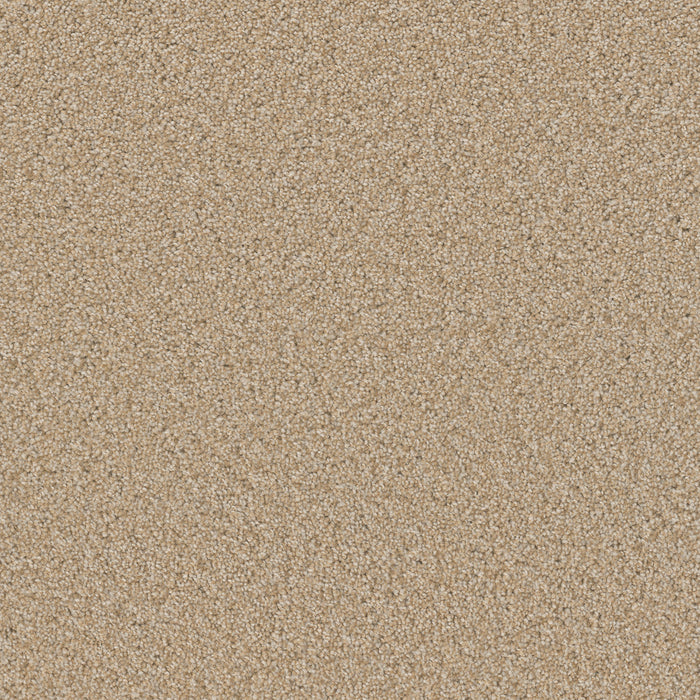 Broadcast Plus Polyester Frosted Clay 4522 Carpet Textured 1