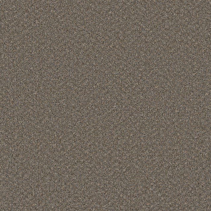 Broadcast Plus Polyester Field Slate 477 Carpet Textured 1