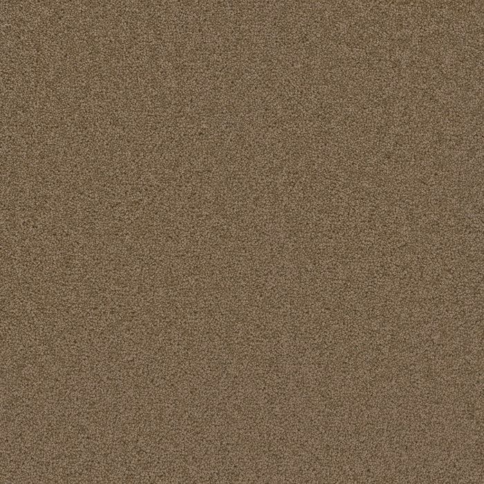 Broadcast Plus Polyester Honey Beige 510 Carpet Textured 1