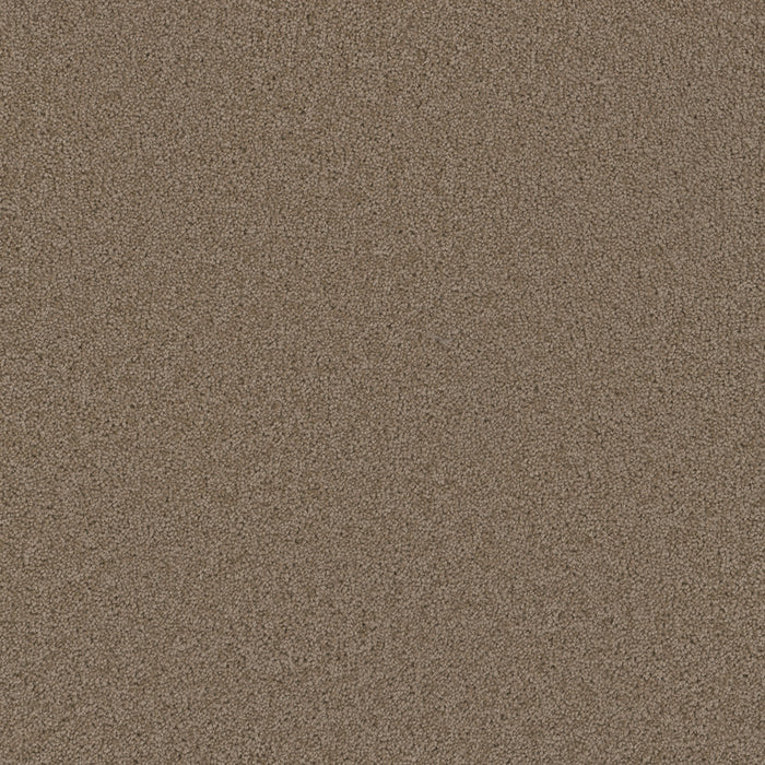 Broadcast Plus Polyester Doeskin 530 Carpet Textured 1