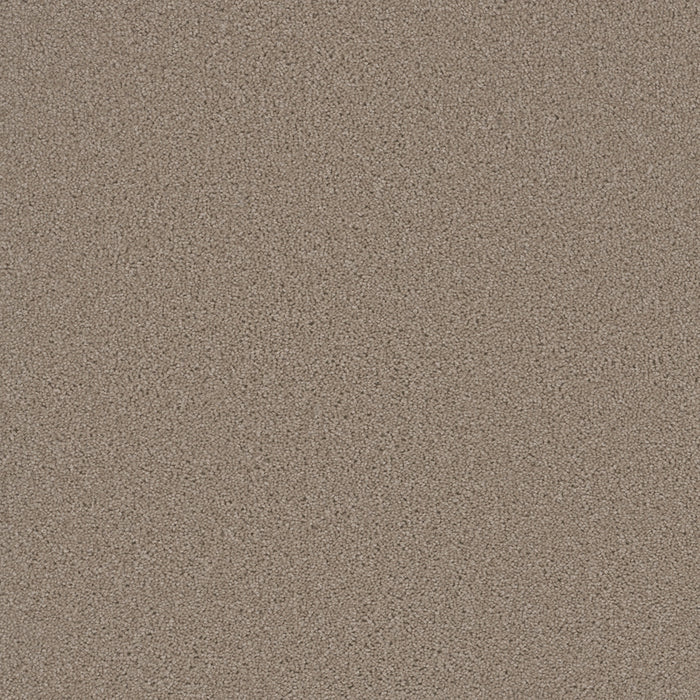 Broadcast Plus Polyester Flax Beige 535 Carpet Textured 1
