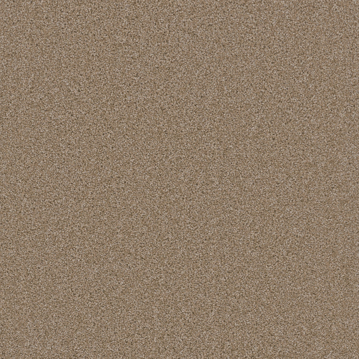 Broadcast Plus Polyester Sawgrass 701 Carpet Textured 1