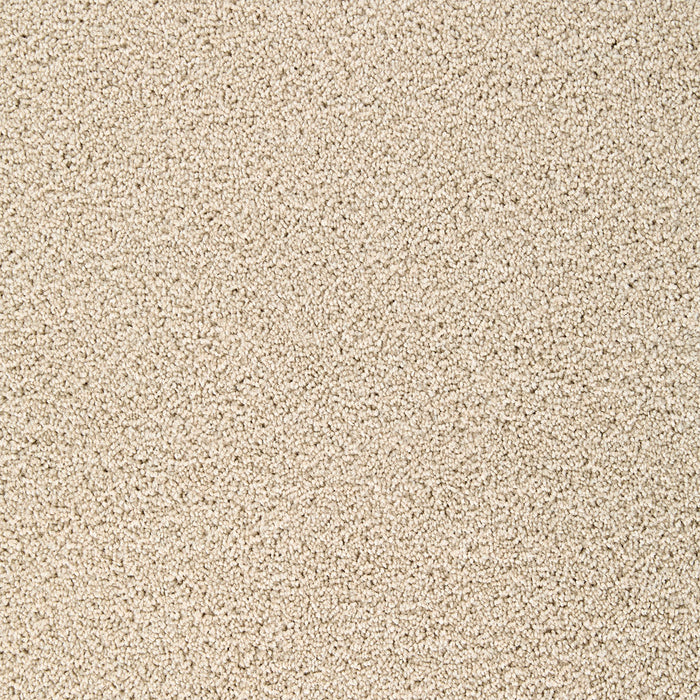 Broadcast Plus Polyester Cookie Dough 705 Carpet Textured 1