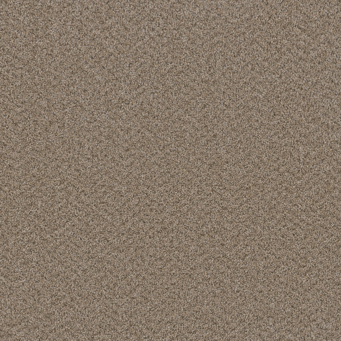 Broadcast Plus Polyester Almond 782 Carpet Textured 1