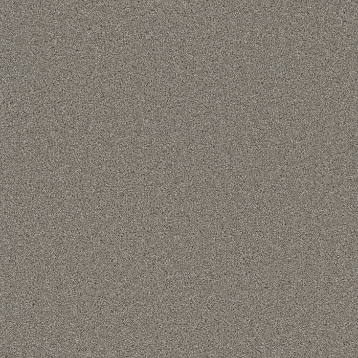Broadcast Plus Polyester Silver Birch 800 Carpet Textured 1