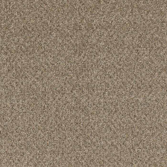 Broadcast Plus Polyester Azure 803 Carpet Textured 1