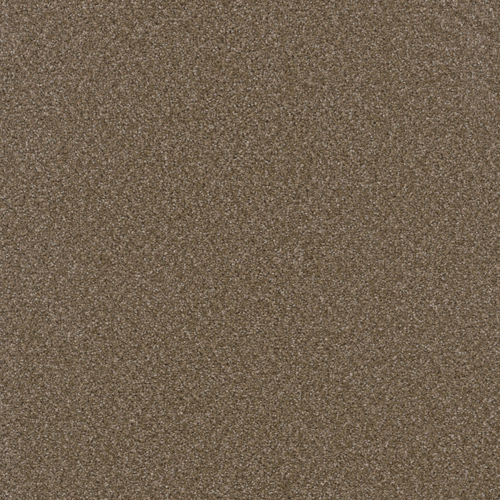 Broadcast Plus Polyester Chestnut 806 Carpet Textured 1