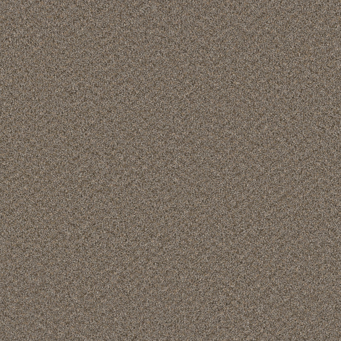 Broadcast Plus Polyester Cinder 835 Carpet Textured 1