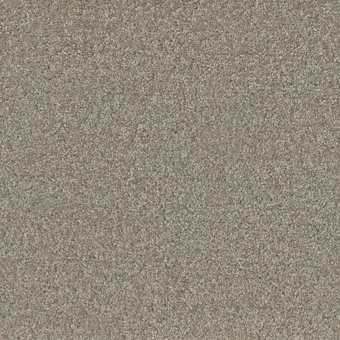 Broadcast Plus Polyester Chrome 927 Carpet Textured 1