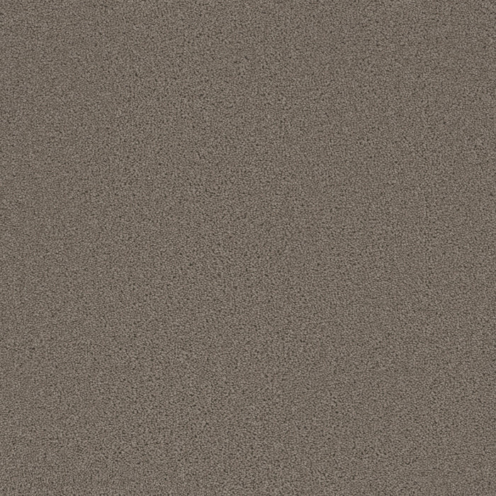 Broadcast Plus Polyester Castle 945 Carpet Textured 1