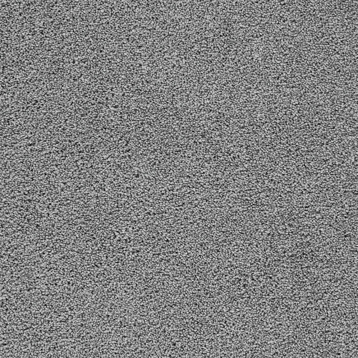 Broadcast Plus Polyester Bayside 956 Carpet Textured 1
