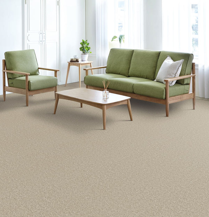 Broadcast Plus Polyester Light Bisque 4484 Carpet Textured 2