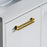 3137 Series Brushed Brass Metal Cabinet Pull 2