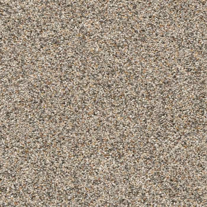 Confetti III Polyester Pale Vista 584 Carpet Textured 1