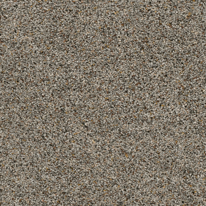 Confetti III Polyester Mountain View 627 Carpet Textured 1
