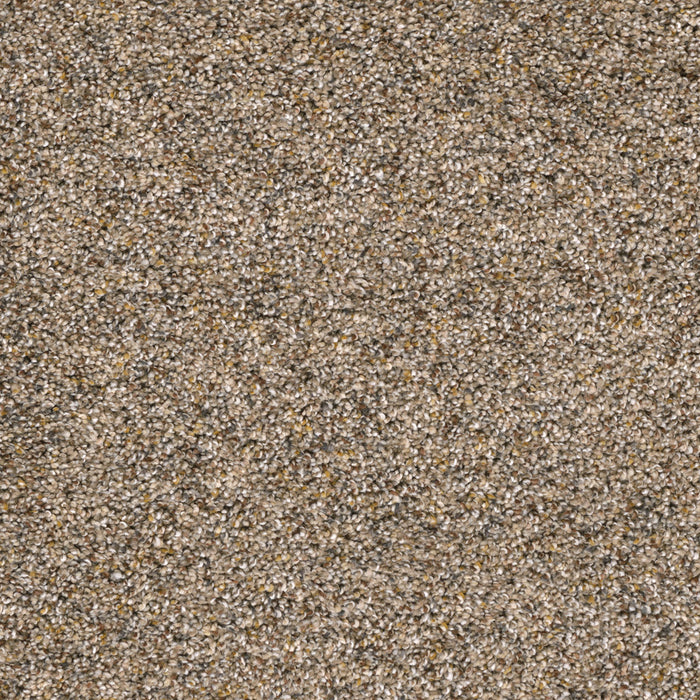 Confetti I Polyester Bisque 768 Carpet Textured 1