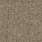 Confetti III Polyester Cadence 776 Carpet Textured 1