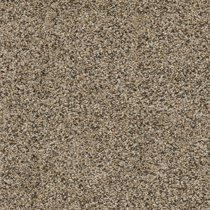 Confetti I Polyester Cadence 776 Carpet Textured 1