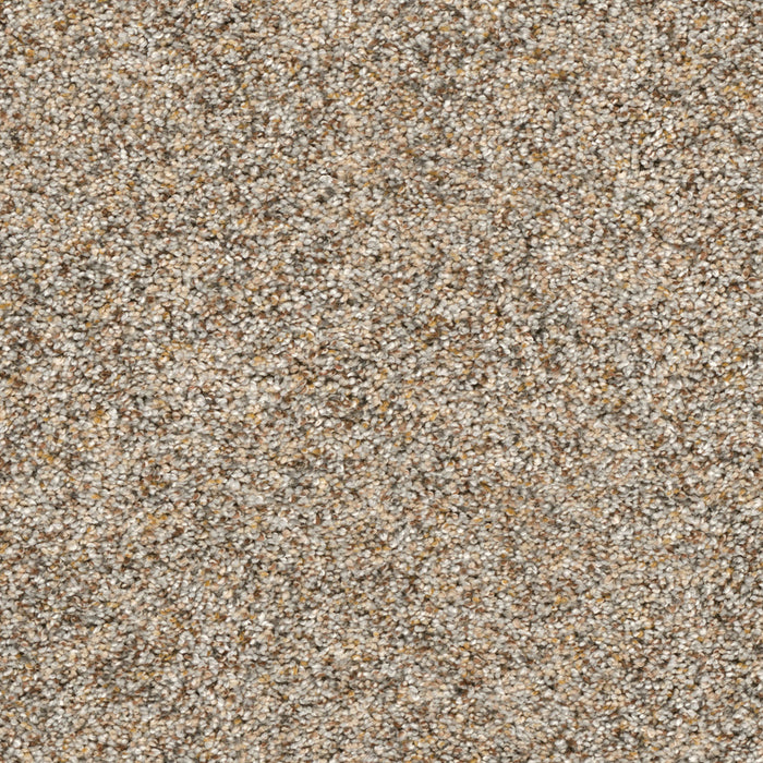 Confetti I Polyester Harmony 917 Carpet Textured 1