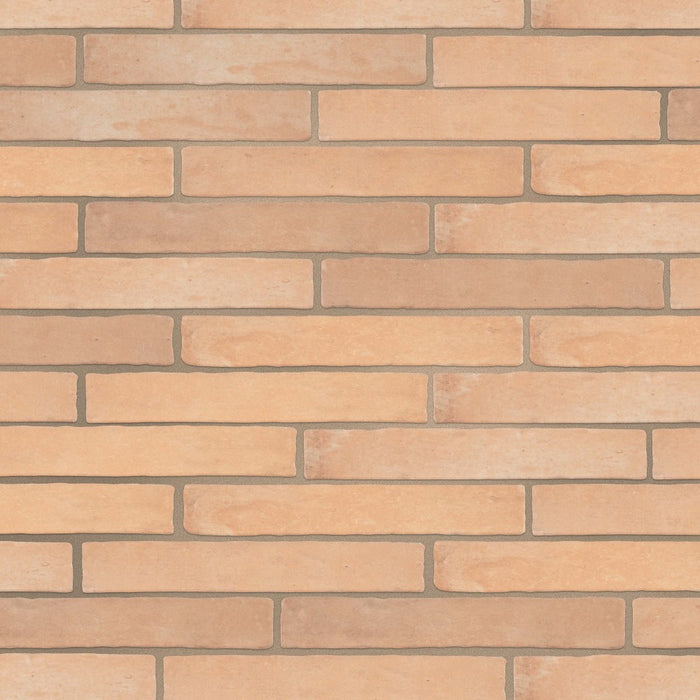 Soul Ceramic Cotto Mix Tile Matte 1