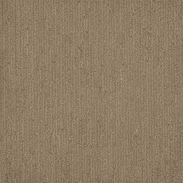 Surfside Polyester Tanglewood 5069 Carpet Loop 1