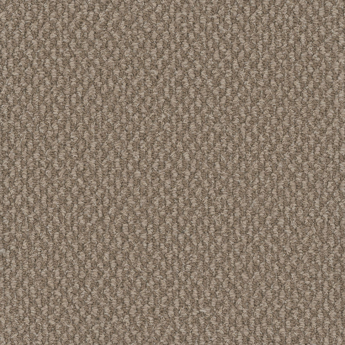Galactic Polyester Pebble Hill 2081 Carpet Loop 1