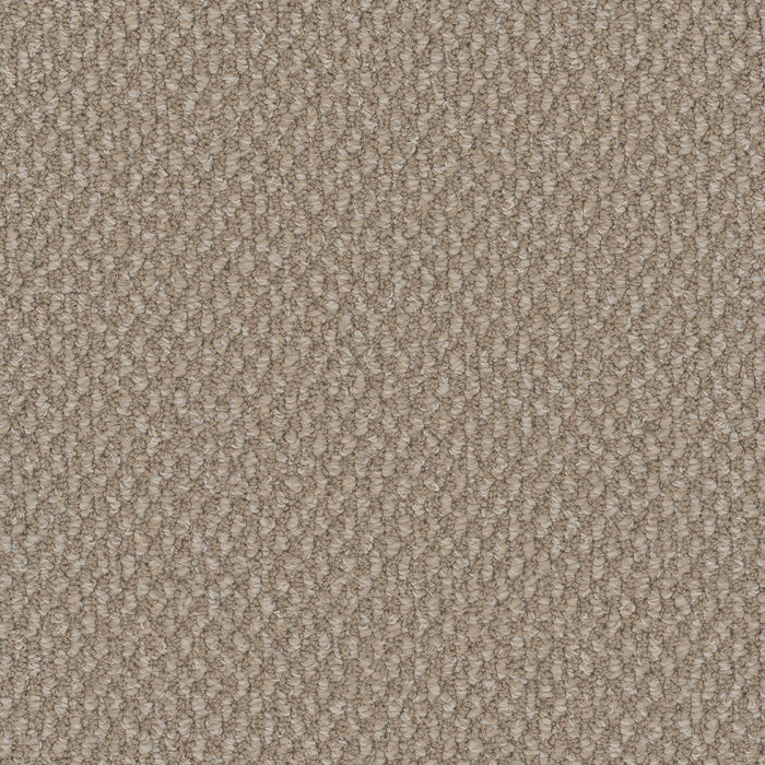 Galactic Polyester Ivory Coast 2143 Carpet Loop 1