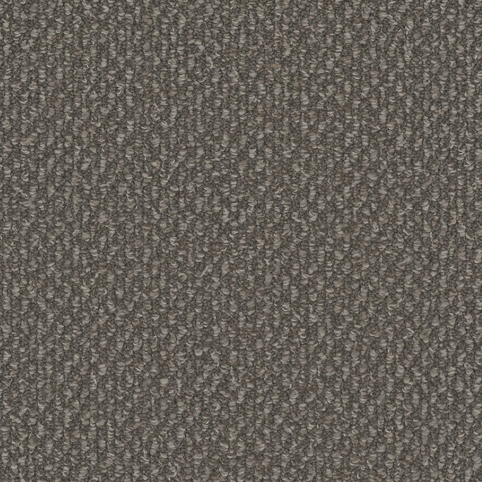 Galactic Polyester Panther 2238 Carpet Loop 1