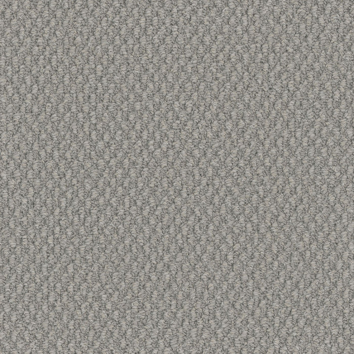 Galactic Polyester Harbor Wish 2254 Carpet Loop 1