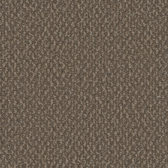 Galactic Polyester Molasses 2317 Carpet Loop 1