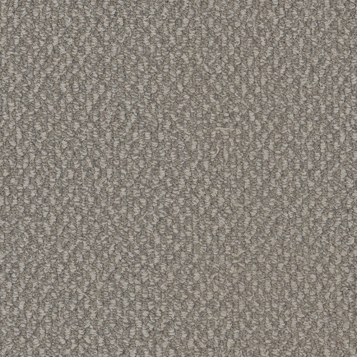 Galactic Polyester Pearl Glacier 2365 Carpet Loop 1