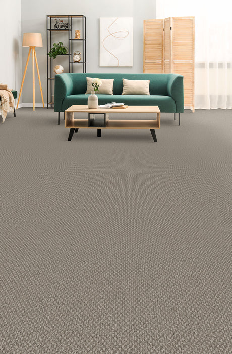 Galactic Polyester Pebble Hill 2081 Carpet Loop 2