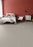 Galactic Polyester Bleached Wheat 2279 Carpet Loop 2
