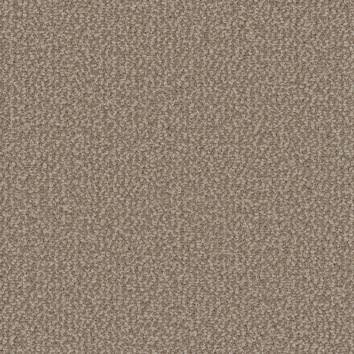 Interstellar Polyester Pebble Hill 2081 Carpet Loop 1