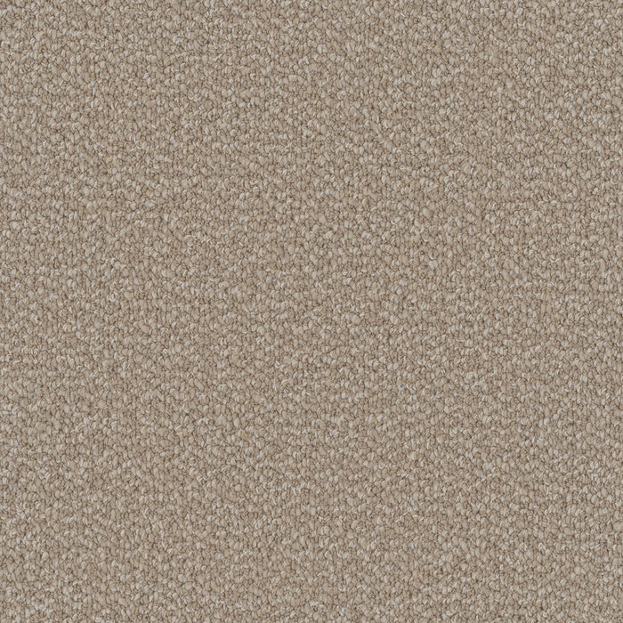 Interstellar Polyester Ivory Coast 2143 Carpet Loop 1